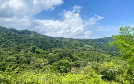 5.6 ACRES – Ocean and Mountain View Lot With Legal Water and Electricity!!!