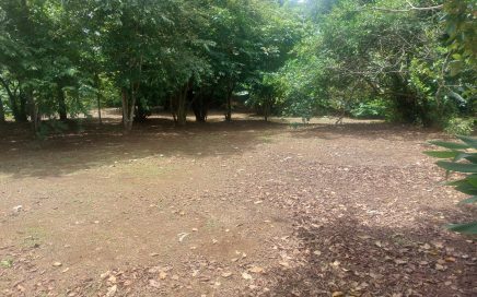0.5 ACRES – Great Lot With Great Location, Close To The Marina Pez Vela And Manuel Antonio Beach!!!