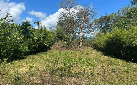 0.12 ACRES – Totally Flat Lot, Ready To Build With Legal Water and Electricity In Ojochal Downtown!!!