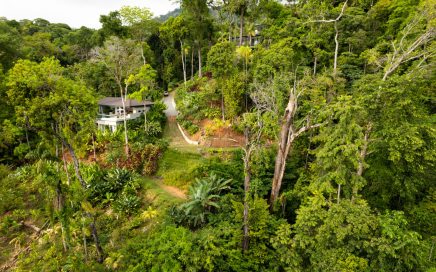 1.5 ACRES – Ocean View Land In The Heart Of Escaleras, Legal ASADA Water And Electricity!!!