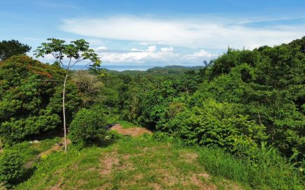 1.7 ACRES – Expansive Ocean View Lot With Two Building Sites, With Legal Water, Electricity and Internet!!!