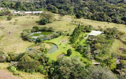 19.9 ACRES – Great Investment Flat Farm With 2 Ponds Of Water, And A House, Very Close To San Isidro Downtown!!!