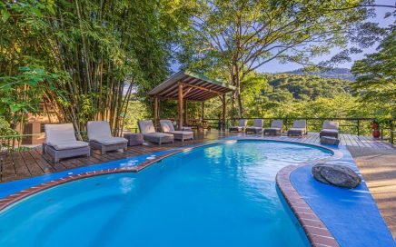 17 ACRES – Jungle Retreat Center, 15 Bedrooms, River Access, Pool, Yoga Deck, and Room To Build More!!!!!