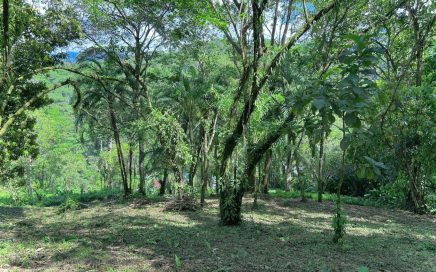1.24 ACRES – Gorgeous Piece of Land With More Than 4 Building Sites, And Easy Access!!!