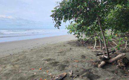 1.38 ACRES – Two TITLED Beach Lots in Playa Linda, Close To All The Amenities!!!!!