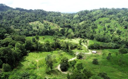 170 ACRES – Mountain View Farm With Jungle, Creeks, Wildlife, And Lots Of Privacy With Easy Access!!!