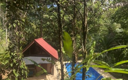 4.9 ACRES – 1 Bedroom Rustic Jungle Cottage With Private Pool, Room To Expand and Waterfall!!!!