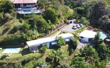 1.27 ACRES – 4 Bedroom Ocean View Modern Home With Pool, Jungle, And Wildlife!!!