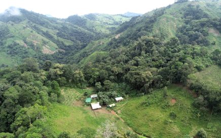62 ACRES – Permaculture Farm, Mountain View, Primary Jungle, And Around 80 Animals!!!!!