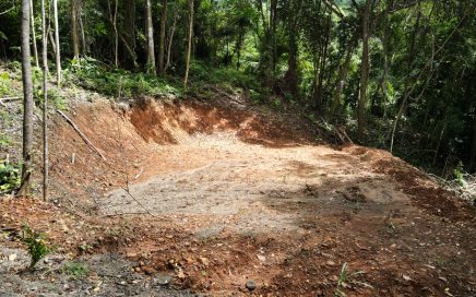 1.75 ACRES – Jungle and Mountain View Property Ready To Build With Water, Electricity and Internet!!!