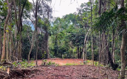 1.49 ACRES –  Jungle and Mountain View Property Ready To Build With Water, Electricity and Internet!!!