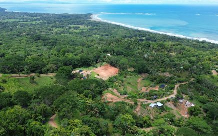 0.38 ACRES – Lot 1 Farmstead Collection – Jungle And Partial Ocean View Lot In Luxury Gated Community!!!