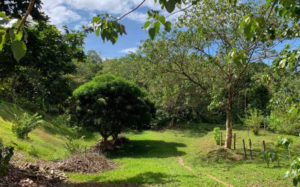 16 ACRES – Beautiful Property With Jungle View, Private Road, Ready To Build!!!!