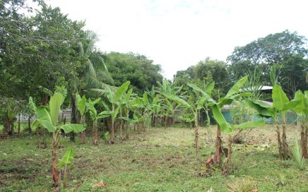 0.4 ACRES – Stunning Twin Lot In The Center Of Uvita, No 4×4 Needed, Easy Access To All The Amenities!!!!