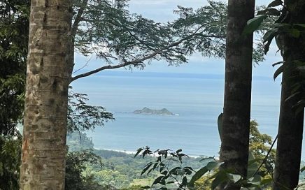 17 ACRES – Ocean and Jungle View Property, With 3 Building Sites, And Very Large Trees!!!!!