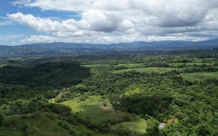 32 ACRES – Stunning Views Of The Valley And The City Of San Isidro, Usable Land, A Creek And Spring!!!
