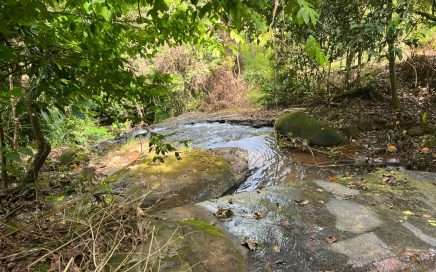 47 ACRES – Very Usable Large Farm with Stupendous Easy Access Waterfalls!!!!!