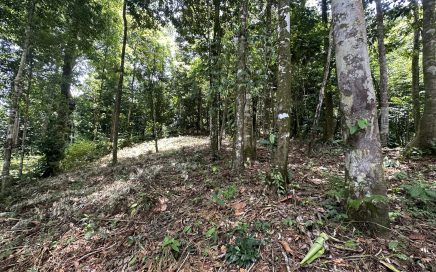 1.6 ACRES – Unique Piece Of Land With So Much Potential And Jungle Views!!!