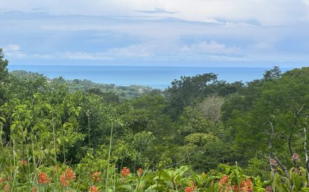 0.85 ACRES – Fantastic Ocean View Loc Located In A Gated Community In Ojochal!!!!