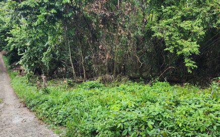 0.15 ACRES – Incredible Lot Nestled In The Heart Of Manuel Antonio, Motivated Seller!!!