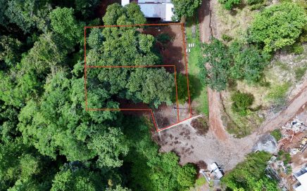 0.2 ACRES – Two Jungle Lots Within Walking Distance To All The Amenities In Uvita Downtown!!!