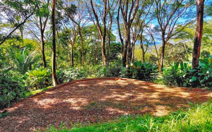 1.53 ACRES – Legal Water, Electricity, Fiber Optics, Surrounded by Jungle with Ocean Views, Great Community, 5min to the Beach!!