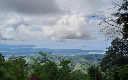0.5 ACRES – Ocean, Jungle, and Mountain View Land With Exclusive Access to the Toucan Valley Community Center!!!!