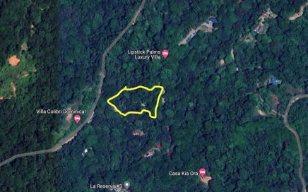 4.94 ACRES – Dominical Forest Dream Property, Minutes To The Beach, Hidden in the Jungle Privacy, New Private Road Improvements!!!!!
