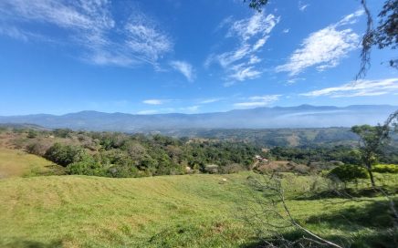 25 ACRES – 2 Bedroom Spectacular Hill View Coffee And Cattle Farm Only 20 Minutes From San Isidro Downtown!!!!