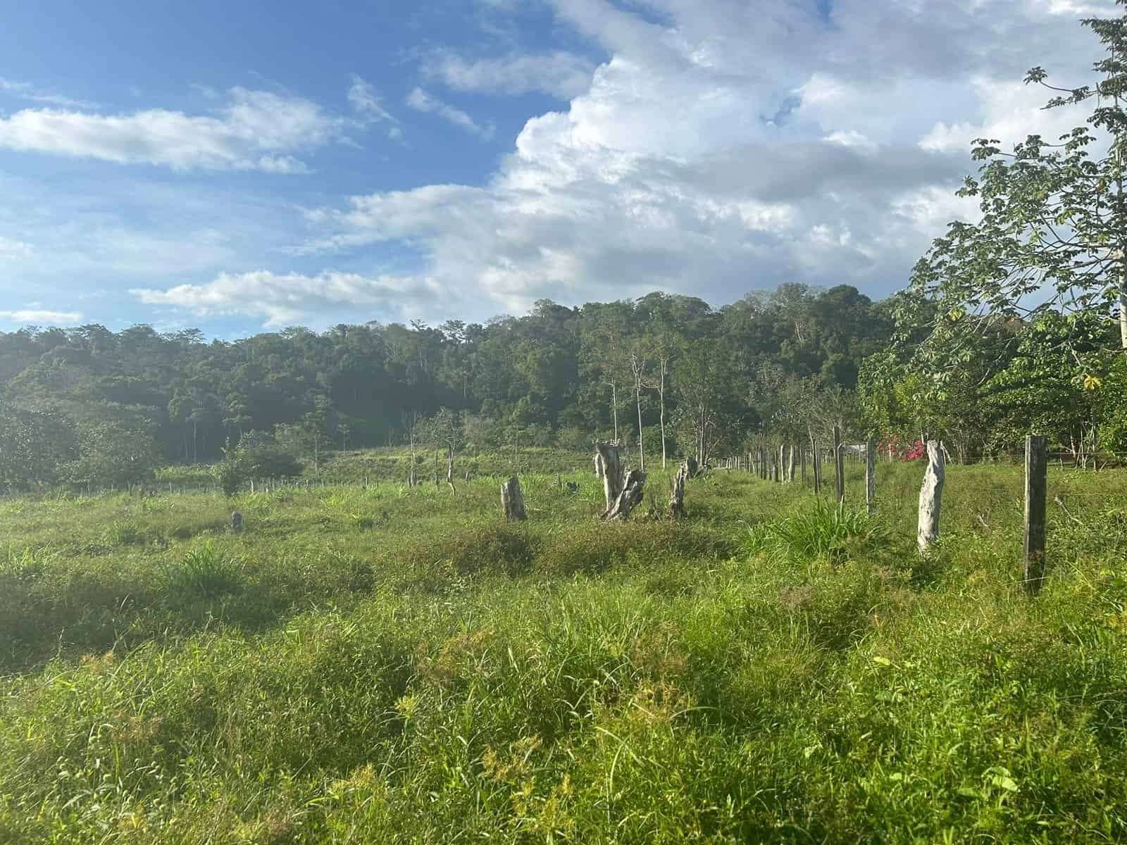 Farms & Ranches for Sale Costa Rica - Dominical Real Estate