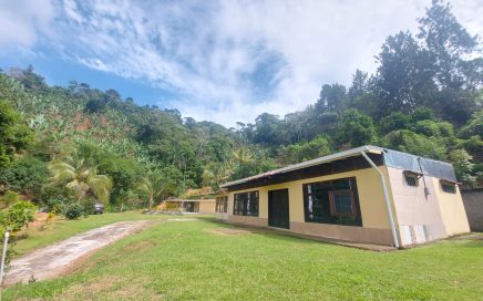6 ACRES – 2 Bedroom Home With 1000 Orange Trees, Studio Apartment, And Swimming Pool!!!