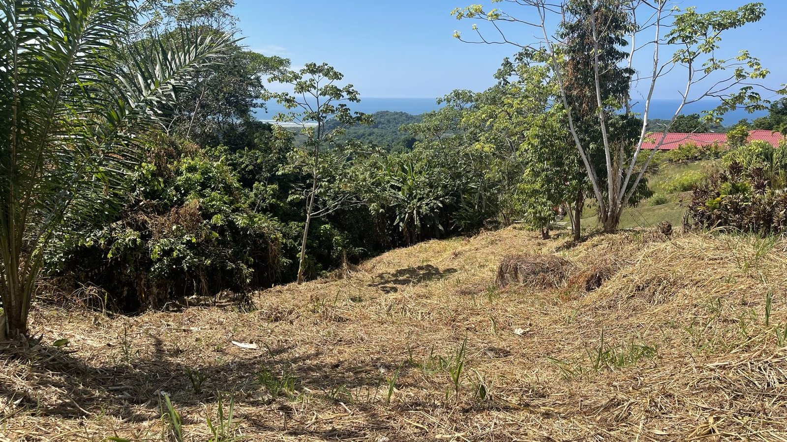 5499 Ojochal Land Phase 10 Lot G9_14 Costa Rica Real Estate