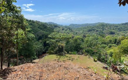 1.73 ACRES – Majestic Mountains And Ocean View Land With Ample Space Ready For Building!!!!