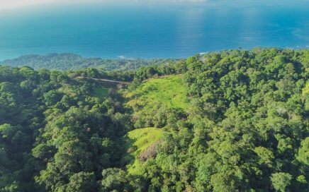 55 ACRES – Private Sanctuary Farm With Breathtaking Ocean View And Endless Possibilities For Development!!!