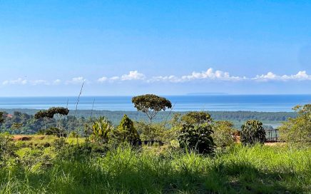 1.46 ACRES – Extraordinary Ocean View Land with Several Building Sites!!!!