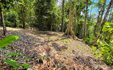 0.85 ACRES –  Jungle Canopy View Land, Private And Serene!!!